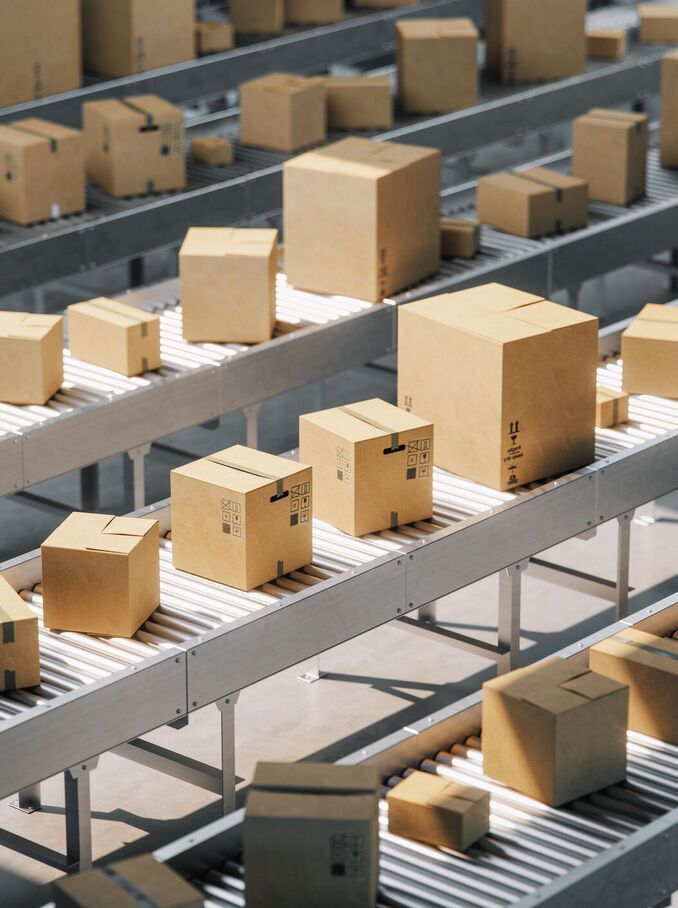 ALMOST GONE!(3 month payment )DFY Dropshipping website package(standard)deposit too book