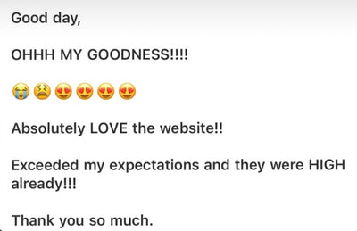 Done for you Dropshipping website package(standard)deposit too book